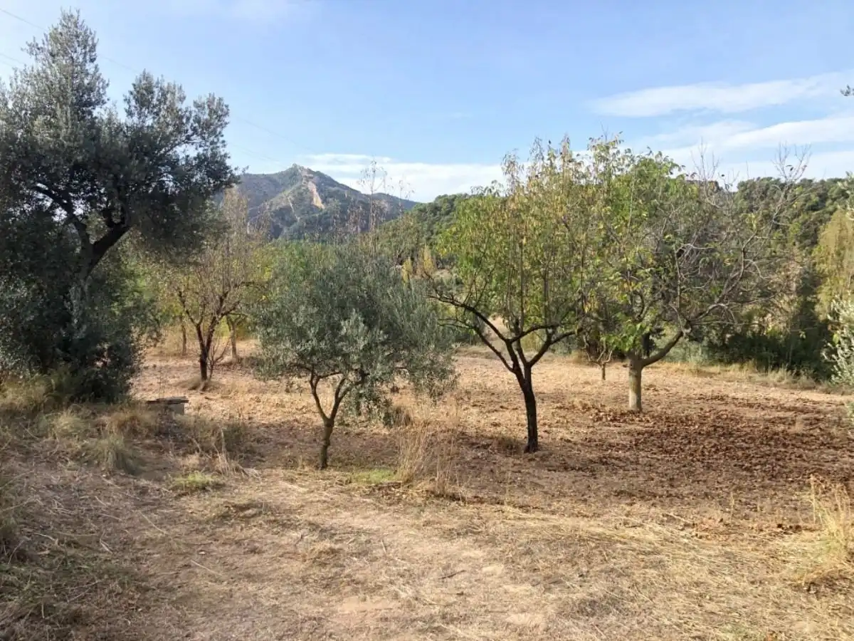 Finca rústica en venda en Valderrobres