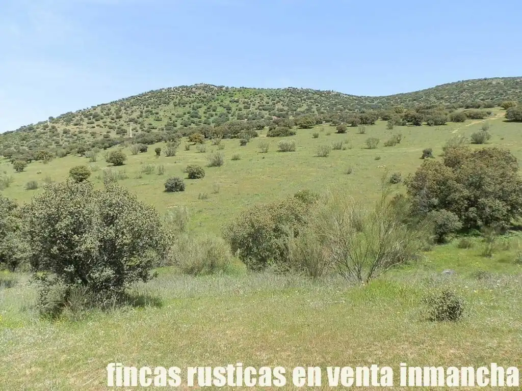 Rural land for sale in Calzada de Calatrava, imagen 7