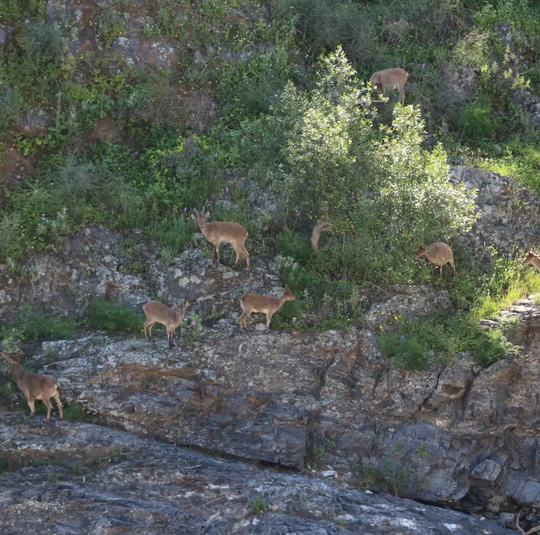 Terrenys i solars en venda a Coín, imagen 11