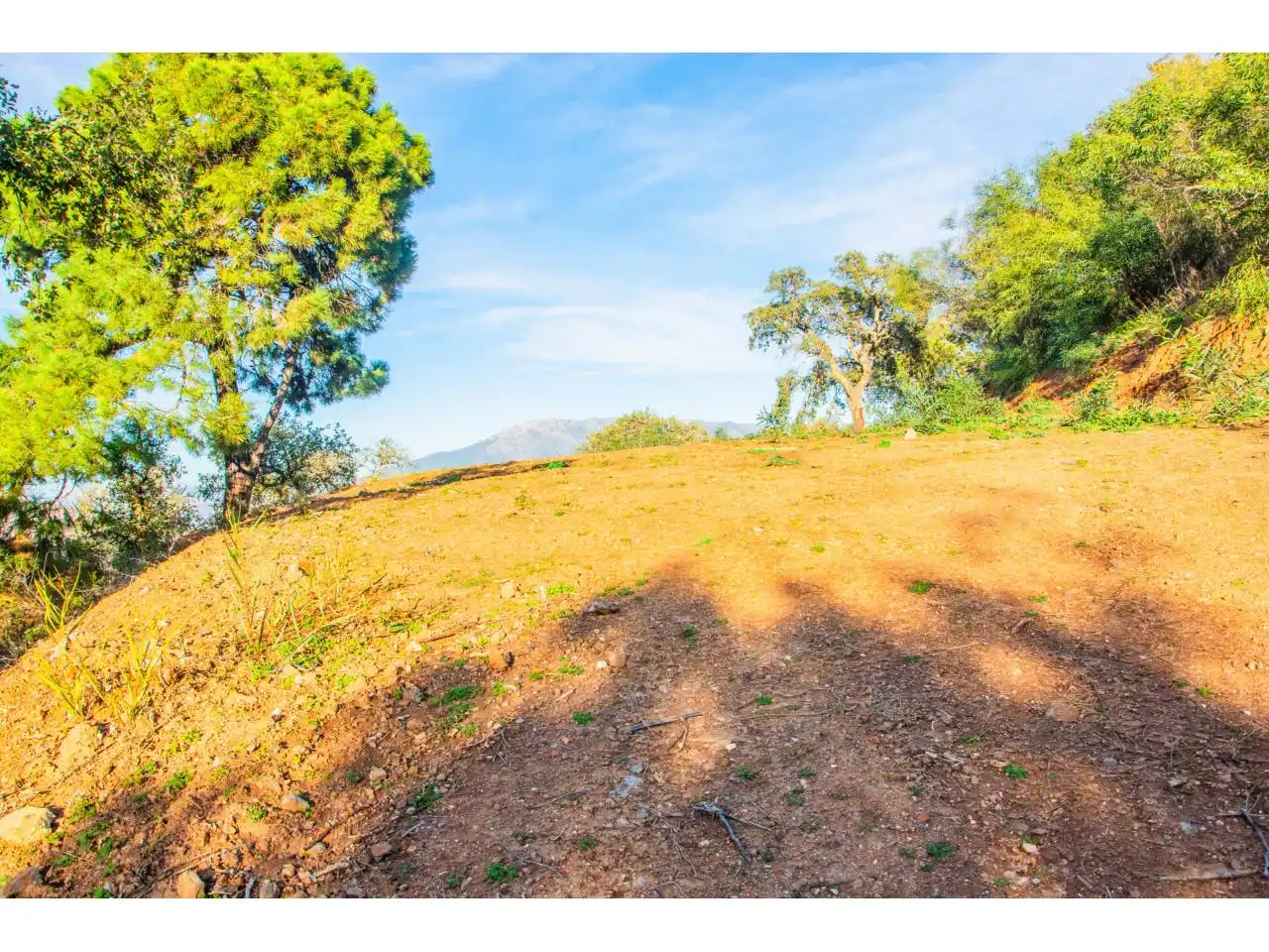 Terreno residencial en venta en Calle Canarias, imagen 8