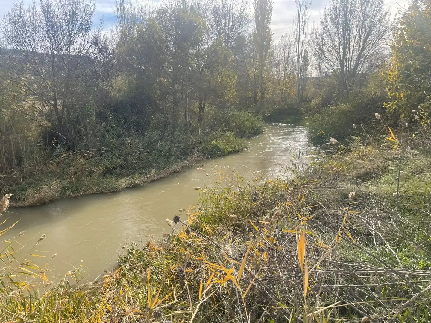 Rural land for sale in Orusco de Tajuña, imagen 11