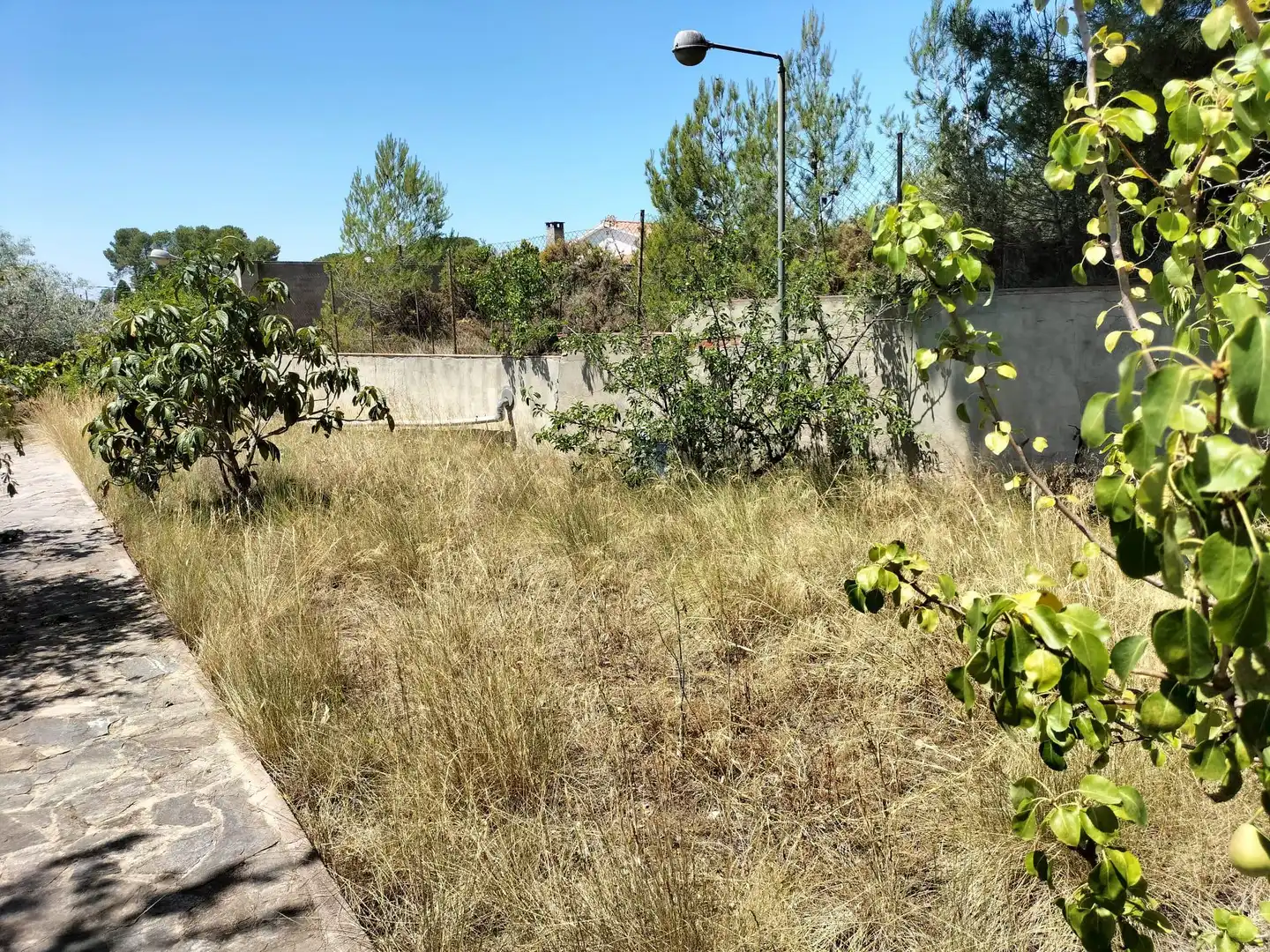 Terreno rustico in vendita a Piera, imagen 2