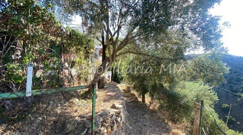 Foto 5 de Casa o xalet en venda a Residencial Jardín Botánico, Málaga Capital