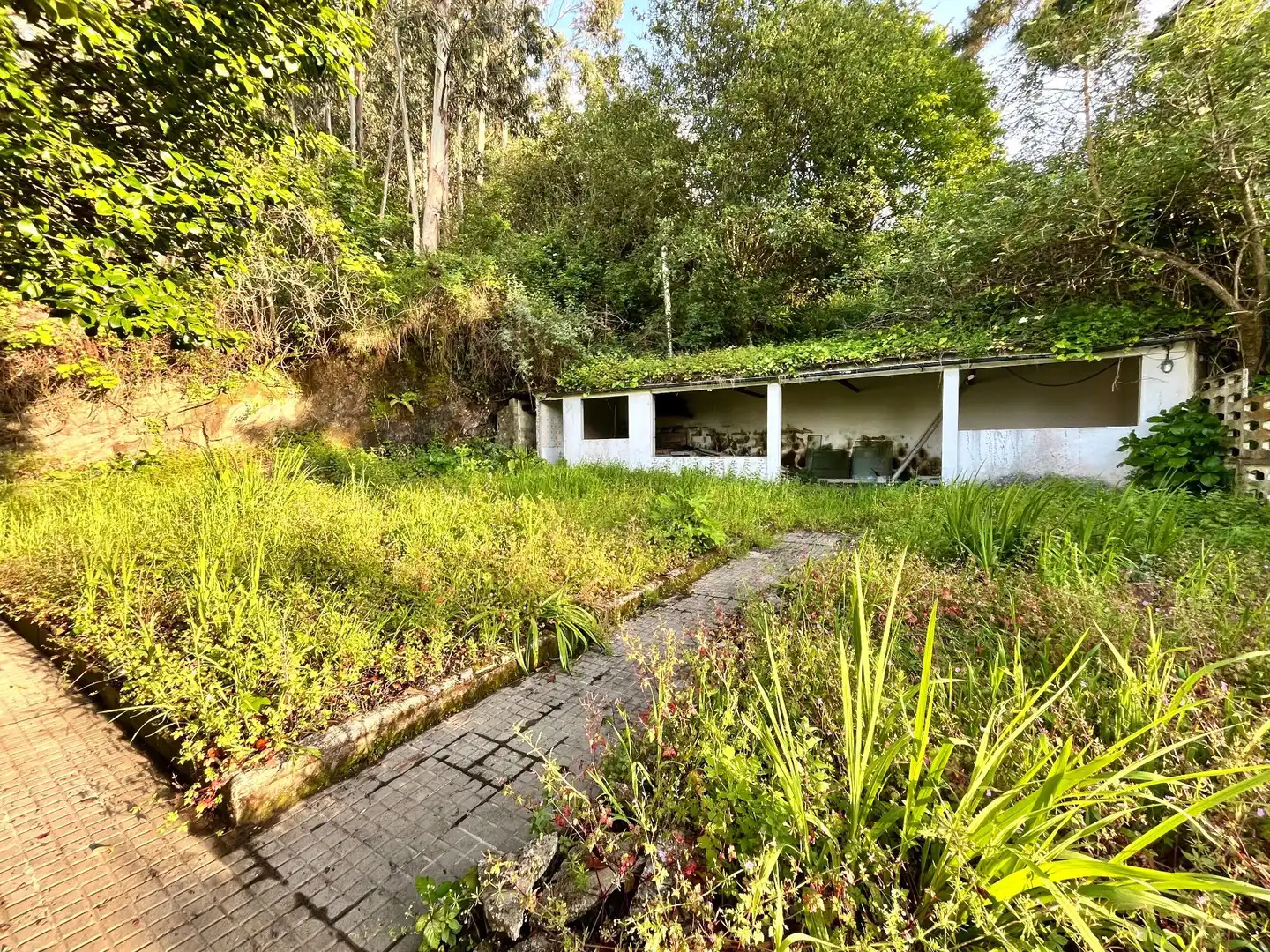 Garden of Houses for sale in Oleiros