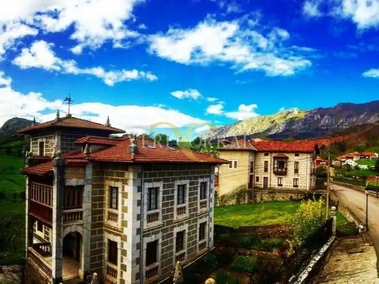 Vista exterior de Casa adosada en venda en Peñamellera Alta amb Calefacció