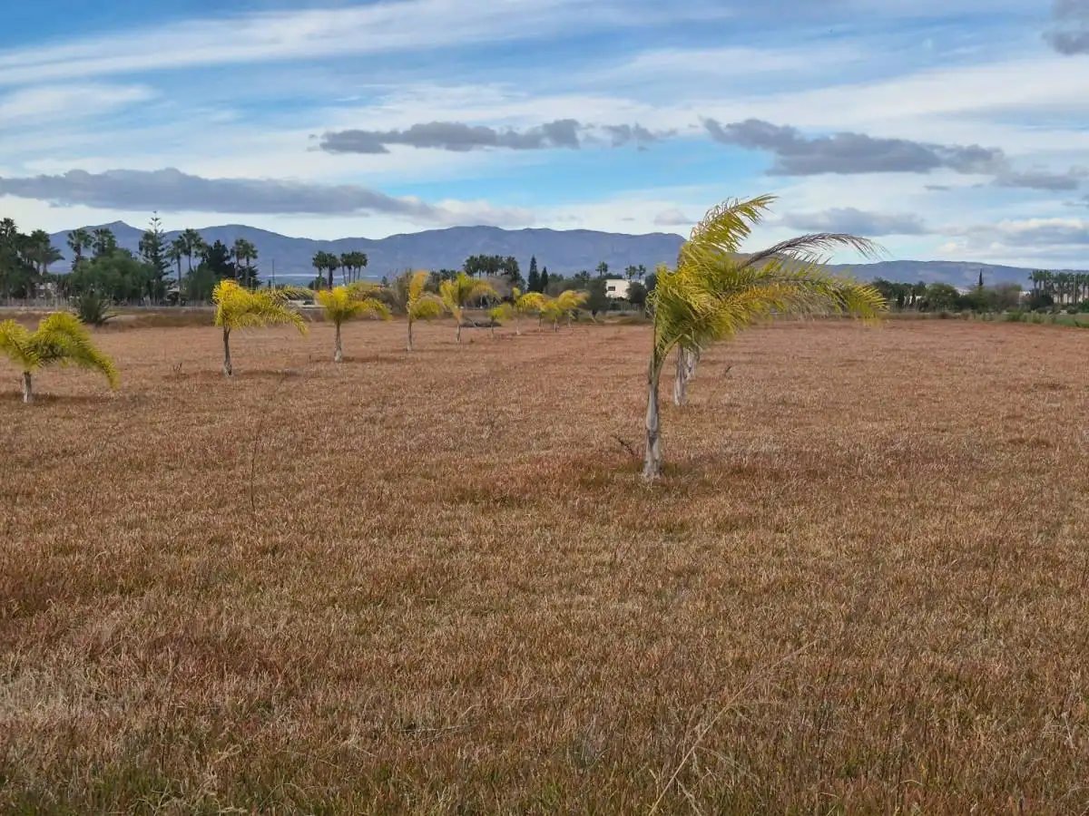 Terreni e lotti in vendita a Cam. Arroba de Hornos, imagen 3