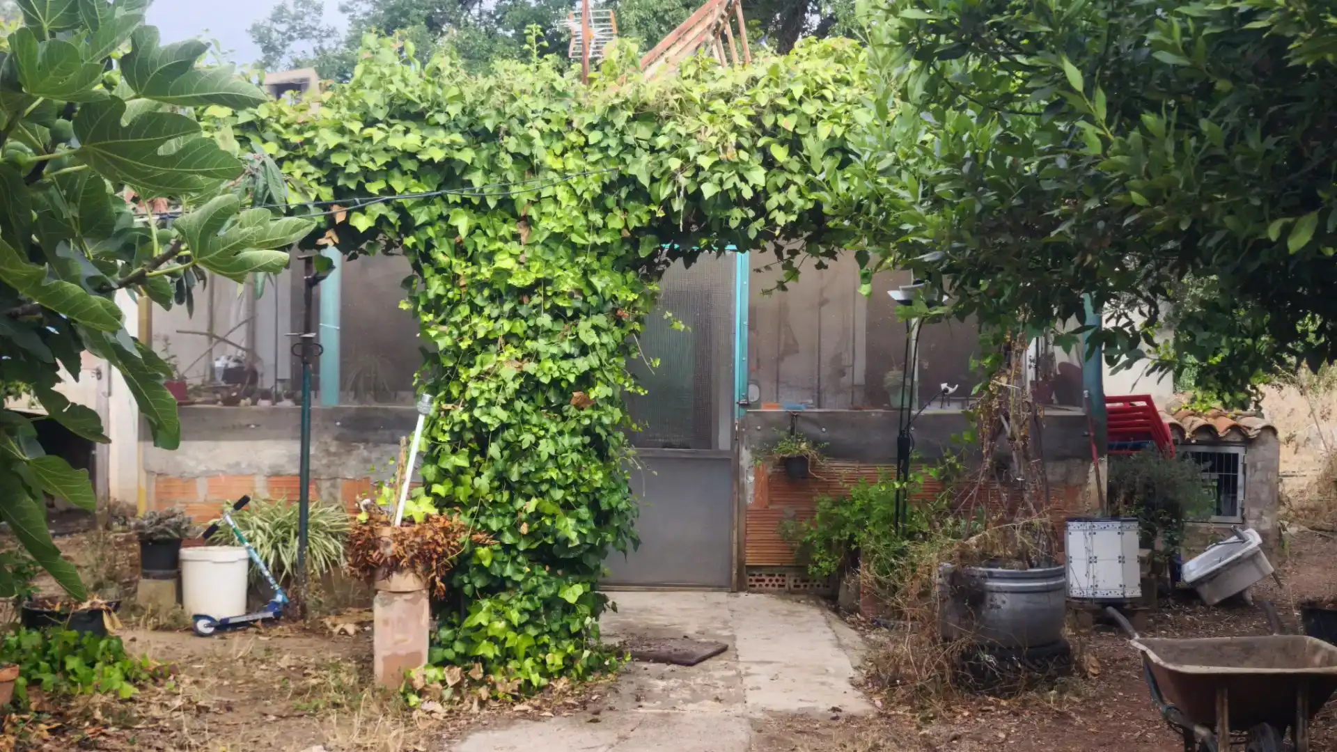 Jardí de Finca rústica en venda en Onda amb Piscina