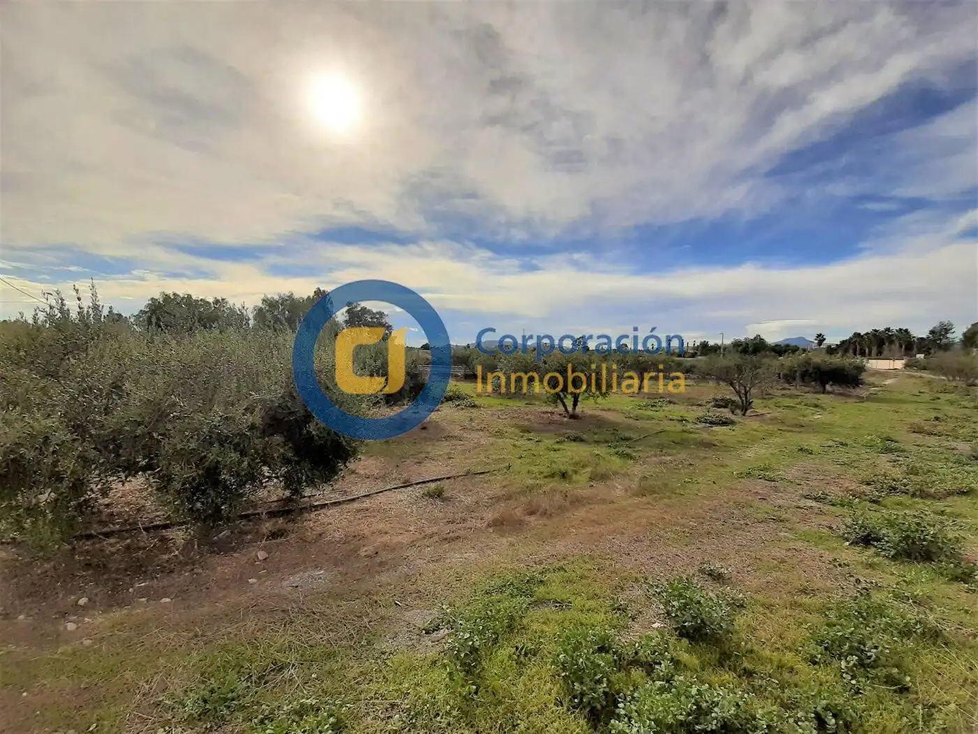Wohnbaugrundstück zum Verkauf in Pedanías Centro, imagen 2