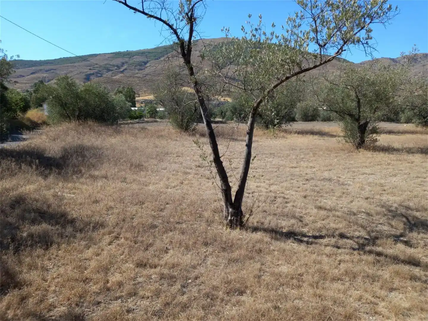 Terreno en venta en Las Tres Villas, Almería