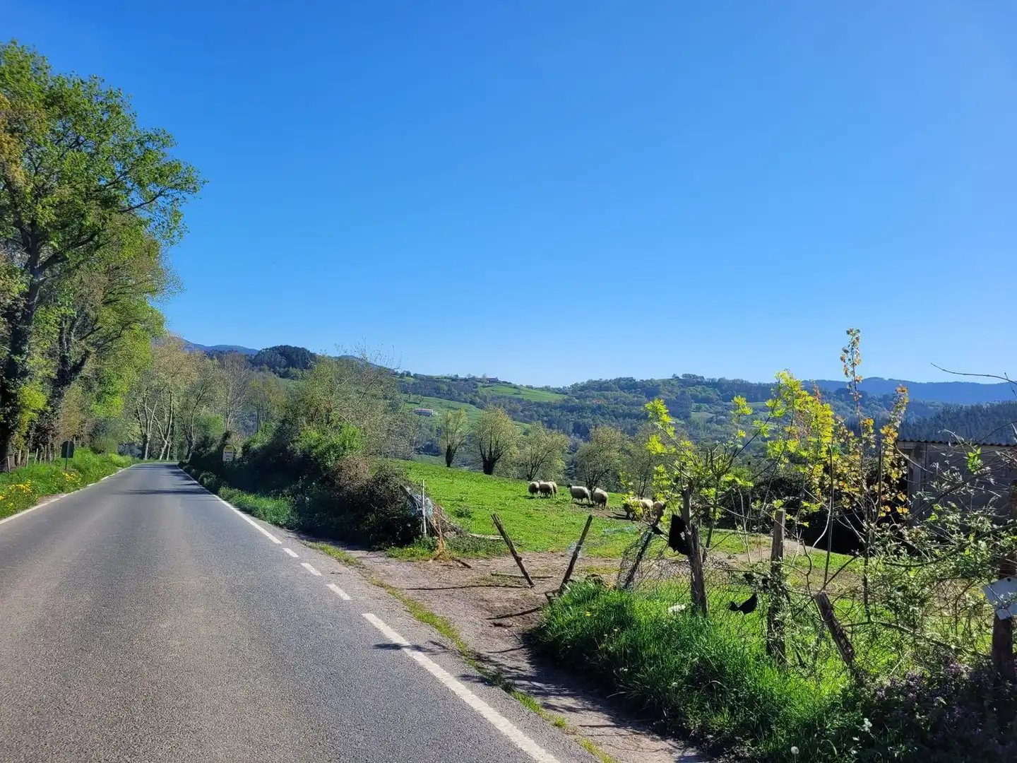 Exterior view of Land for sale in Karrantza Harana / Valle de Carranza