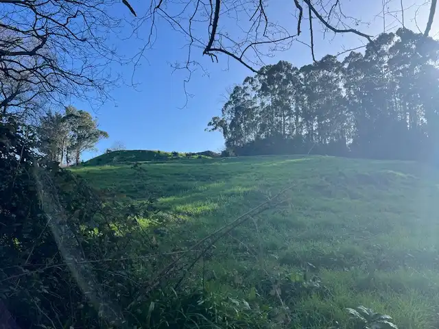 Land for sale in Camargo