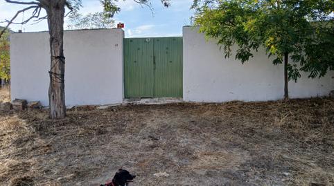 Photo 5 of Industrial land for sale in Chinchibarra, Salamanca