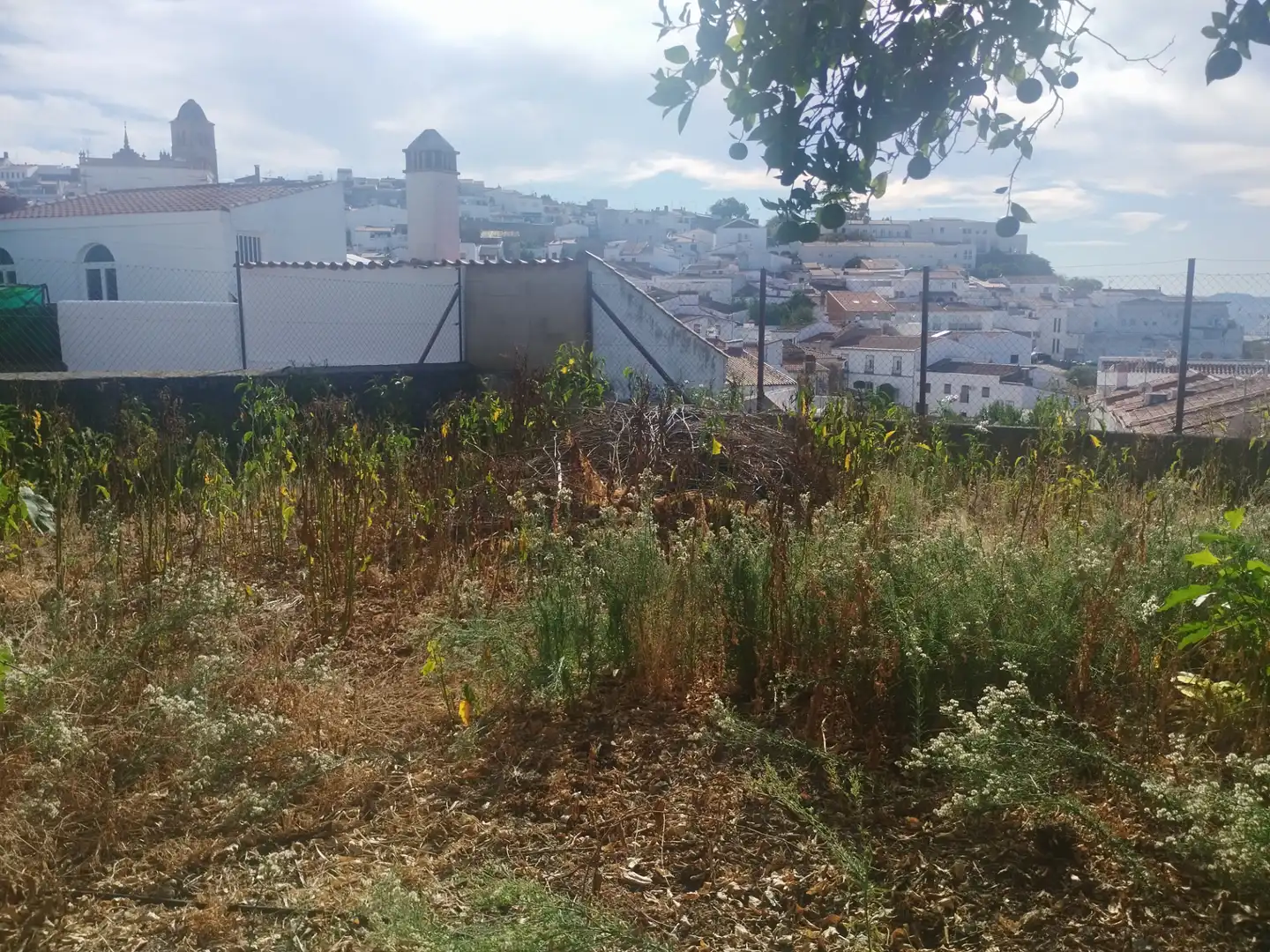 Casa con giardino in vendita a Calle Derecha, imagen 2