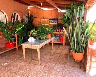 Terrace of House or chalet for sale in Puerto del Rosario  with Terrace