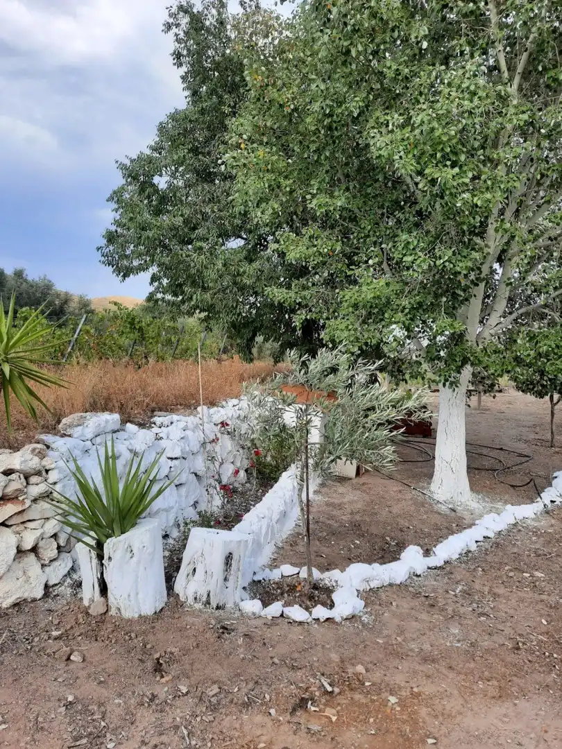 Finca rústica en venta en Beires
