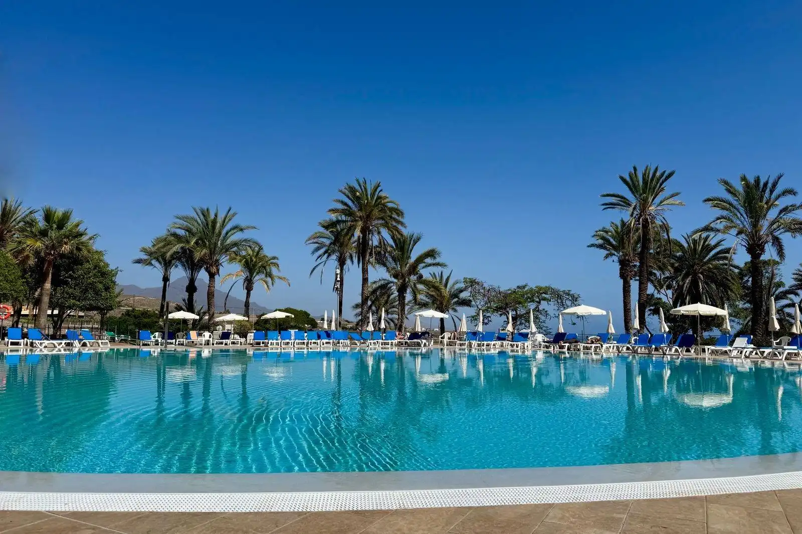 Swimming pool of Apartments for sale in Adeje  with Community pool