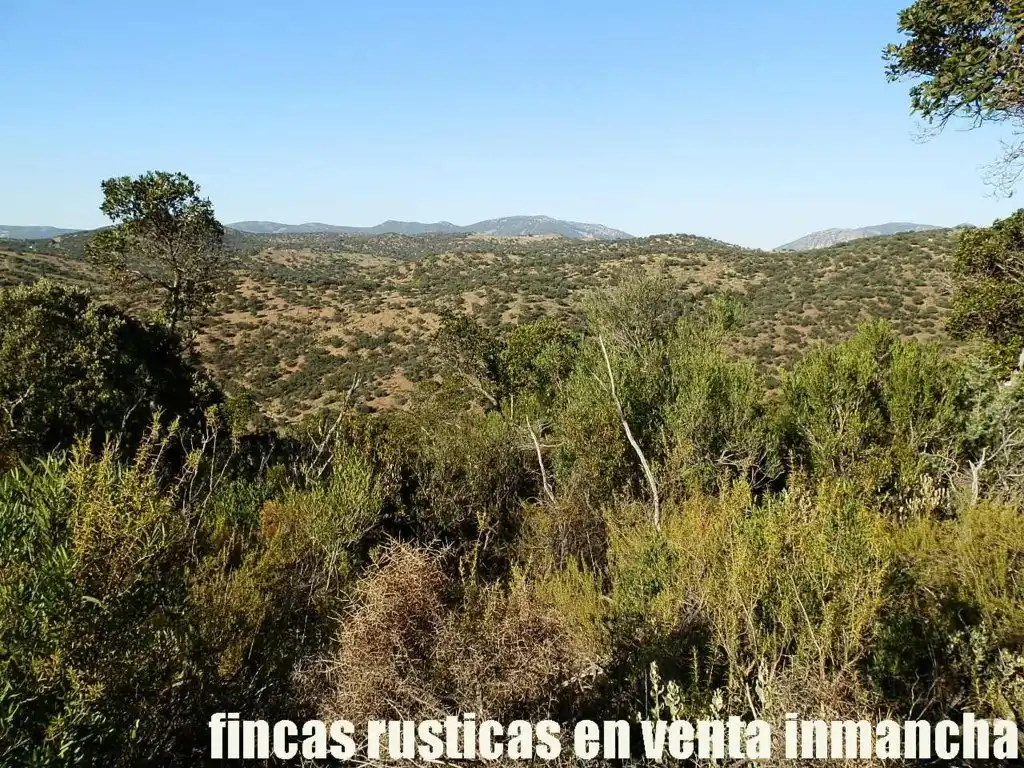 Rustikales Grundstück zum Verkauf in Avenida Ciudad Real Pol N 7, imagen 12