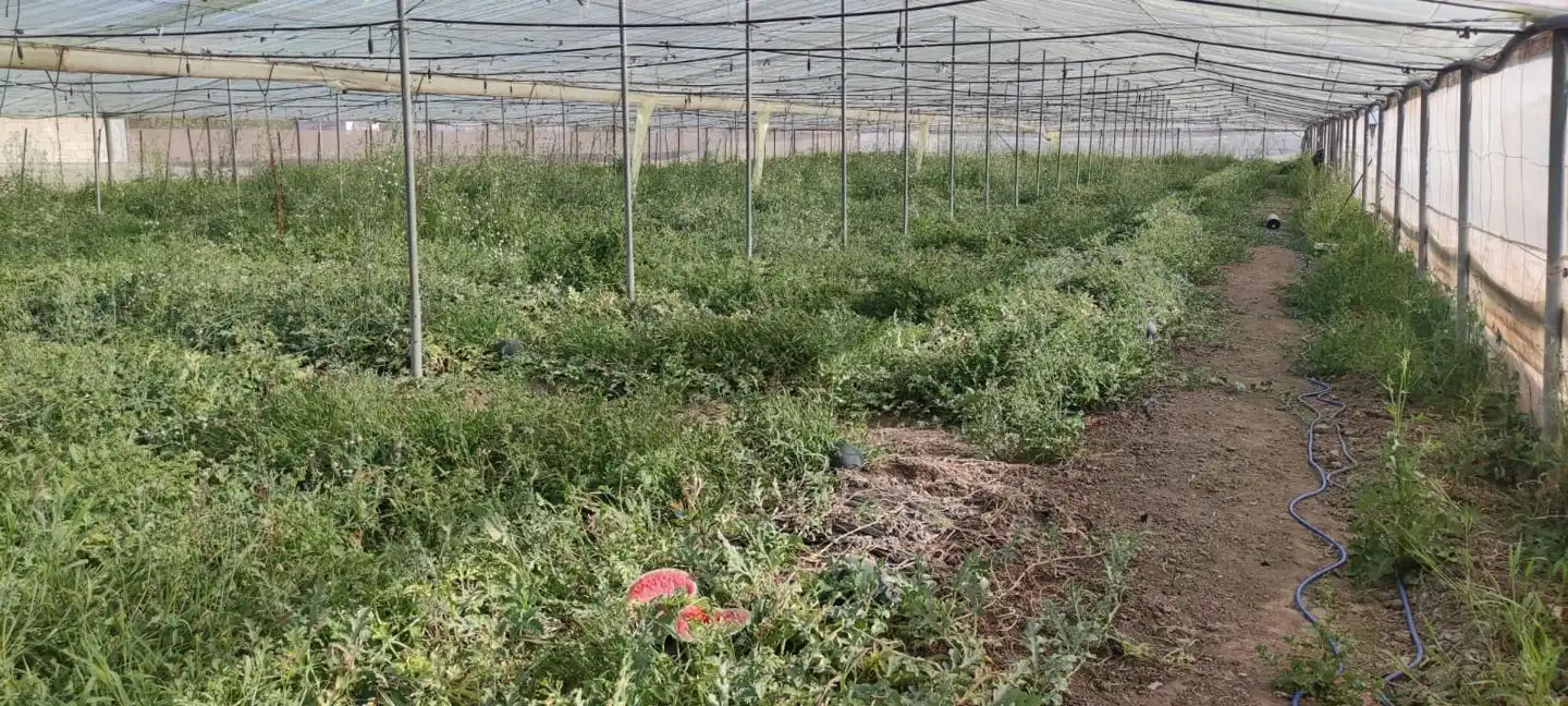 Terreni e lotti in vendita a De La Galera, imagen 4