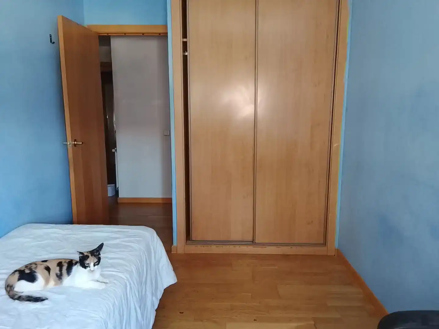 Bedroom of Flat for share in Madrid  with Balcony