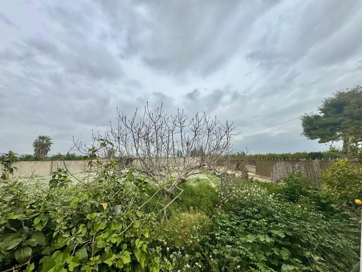 Casa o xalet en venda en Orihuela amb Aire condicionat, Calefacció i Jardí privat