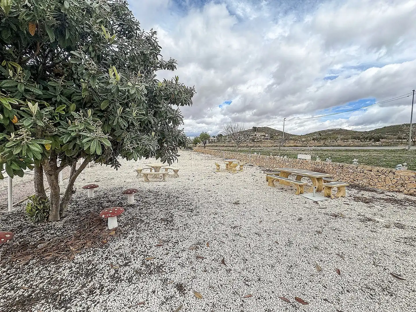 Casa rustica in vendita a Jumilla, imagen 5