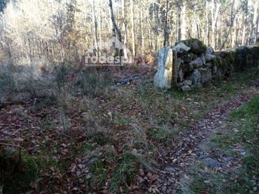 Terreno rústico en venta en A Cañiza