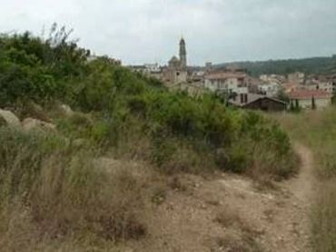 Terrenys i solars en venda a sect 40 Llevant de Pau Casals