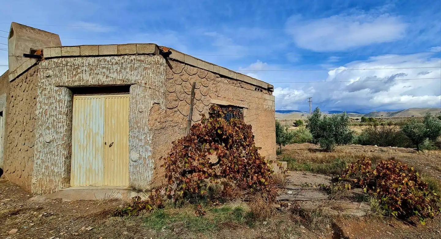 Lands and plots for sale in Campo de Gergal, imagen 6