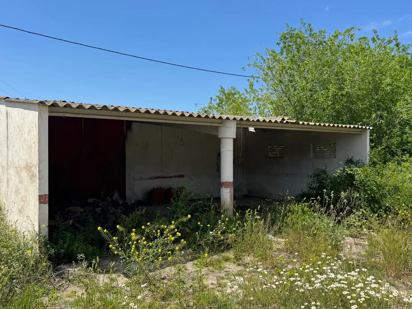 Vista exterior de Casa o chalet en venta en Peñafiel con Jardín privado, Terraza y Trastero