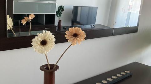 Foto 5 de Pis de lloguer a Carrer del Bosc, Barri Antic, Barberà del Vallès