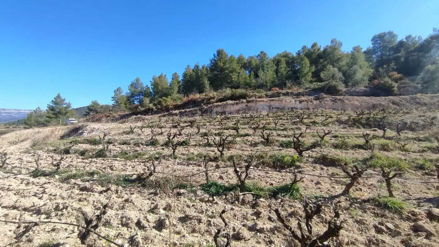 Rural land for sale in Carrer de les Pinyeres 24, imagen 13