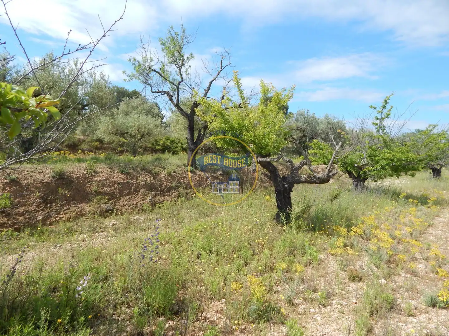 Terreno en venta en Bélgida