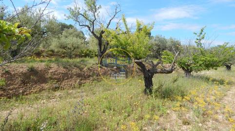 Foto 5 de Terreno en venta en Bélgida, Valencia