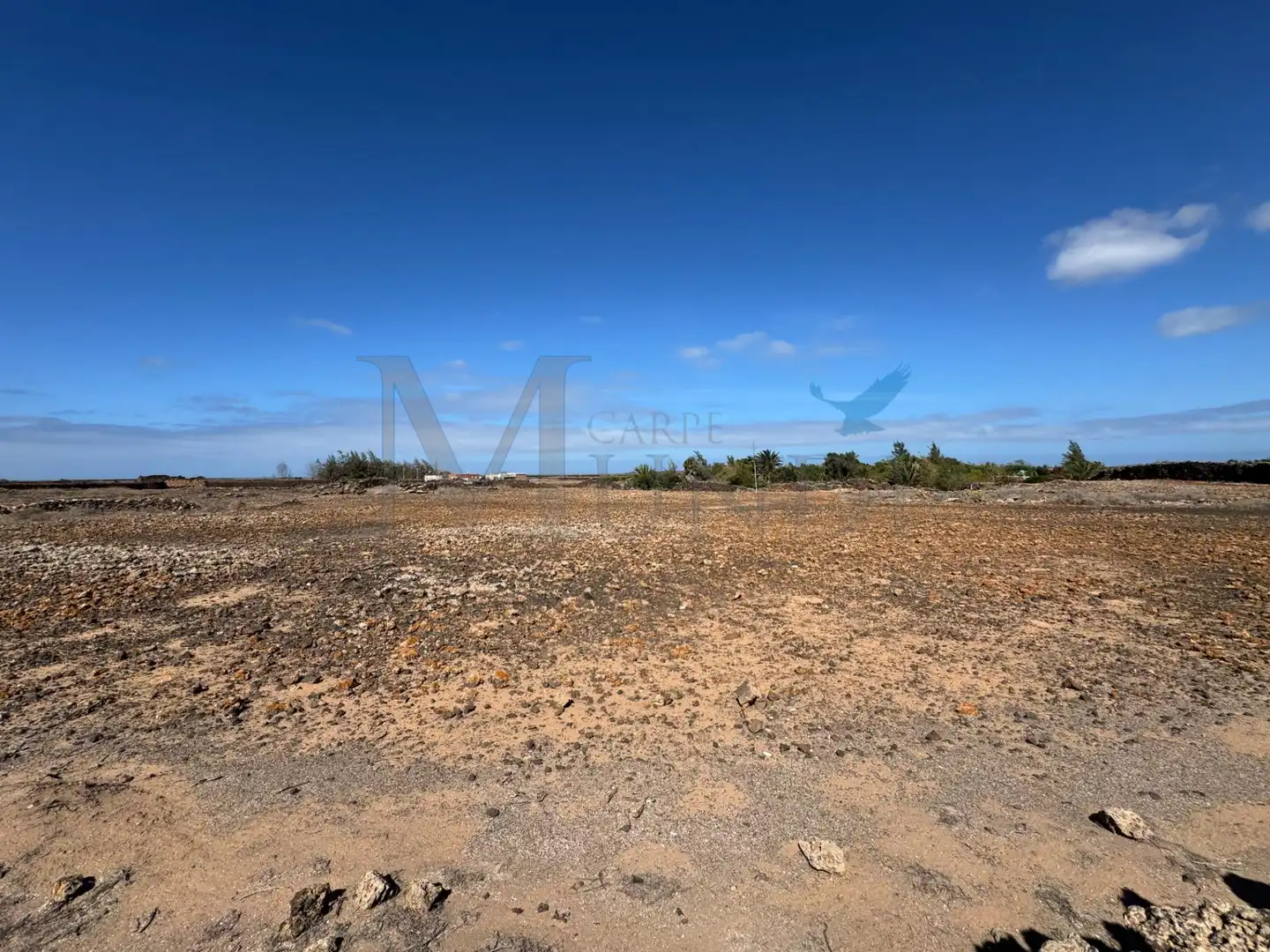 Land for sale in La Oliva