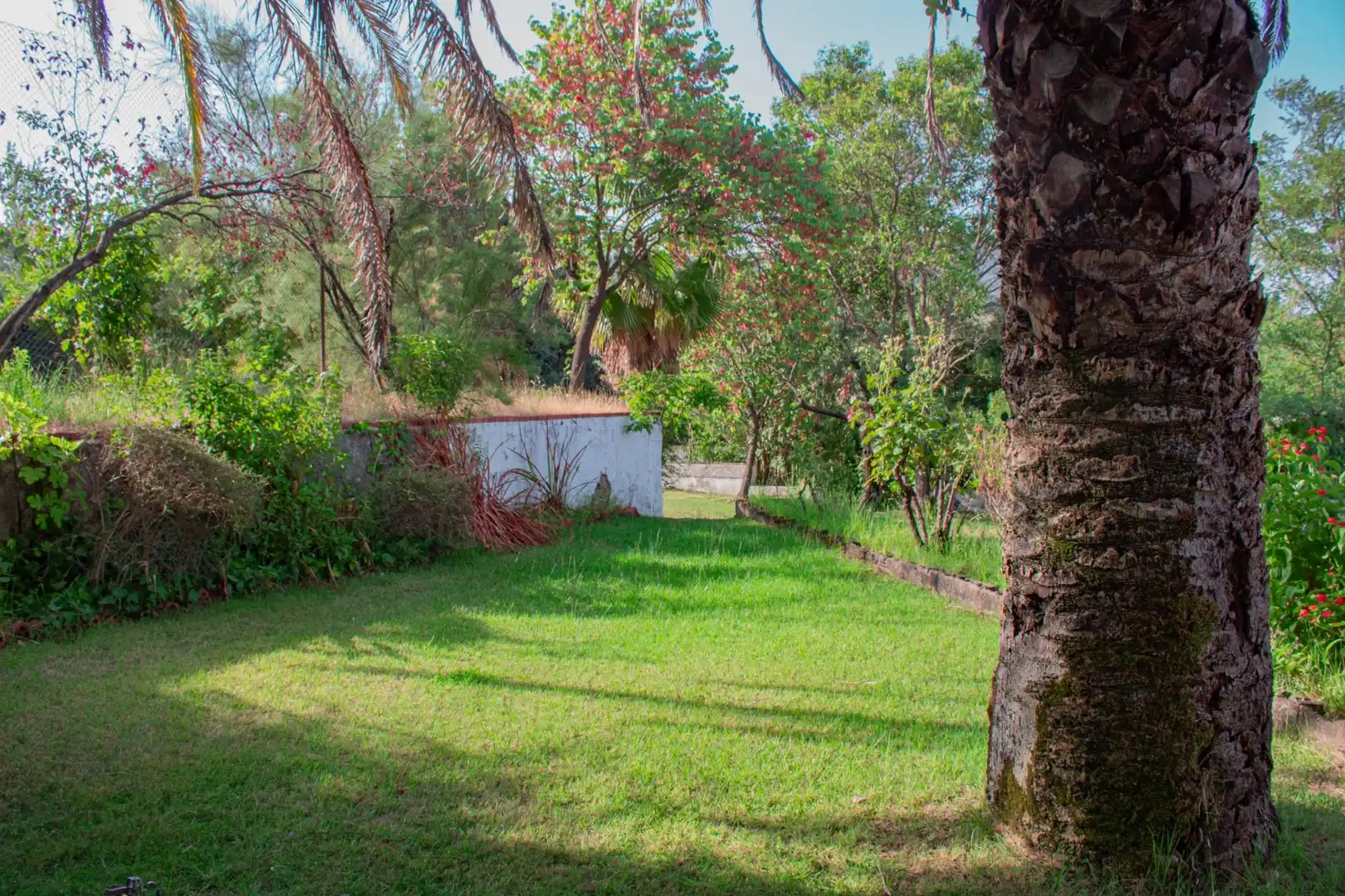 Jardí de Finca rústica en venda en Plasencia amb Aire condicionat, Calefacció i Jardí privat