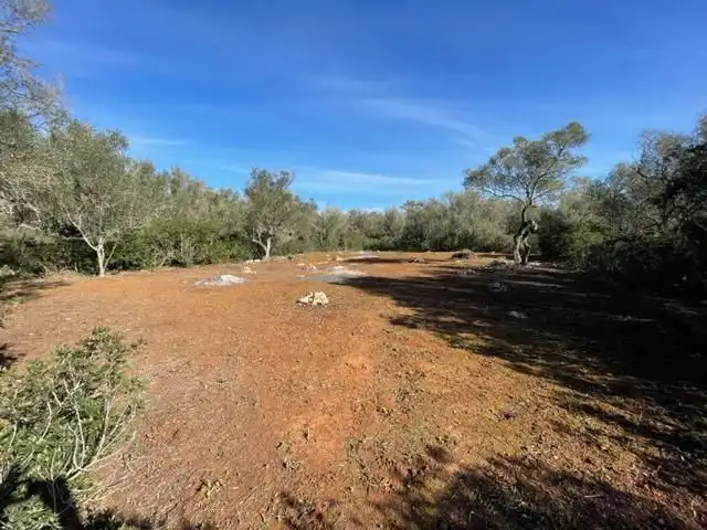 Residential land for sale in Polígono CAS FUSTER, POLGONO 49 - LA PLATA DE SON MAYO, imagen 12
