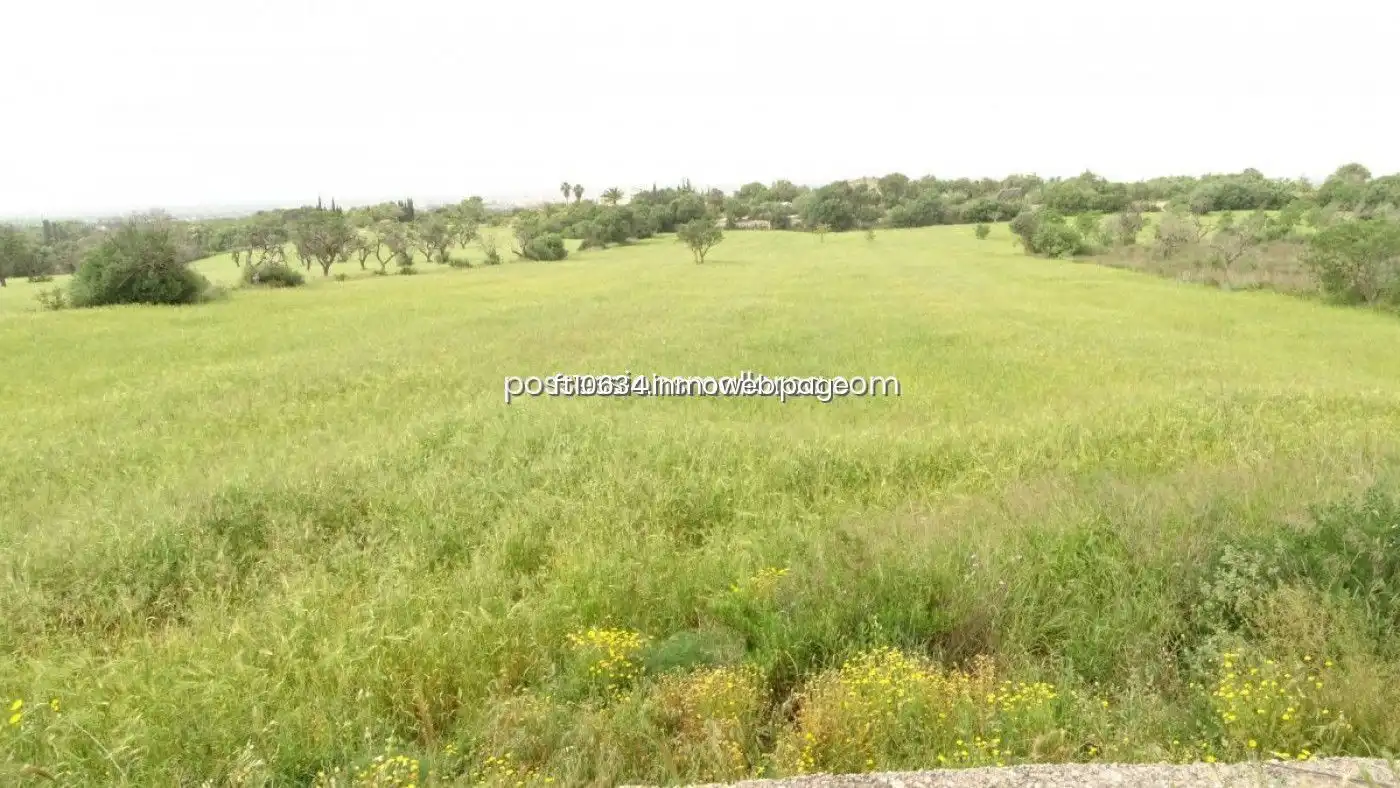 Terreno rustico in vendita a Llucmajor pueblo, imagen 7
