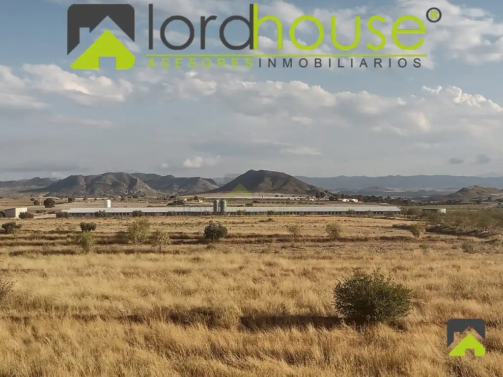 Nau industrial en venda en Lorca