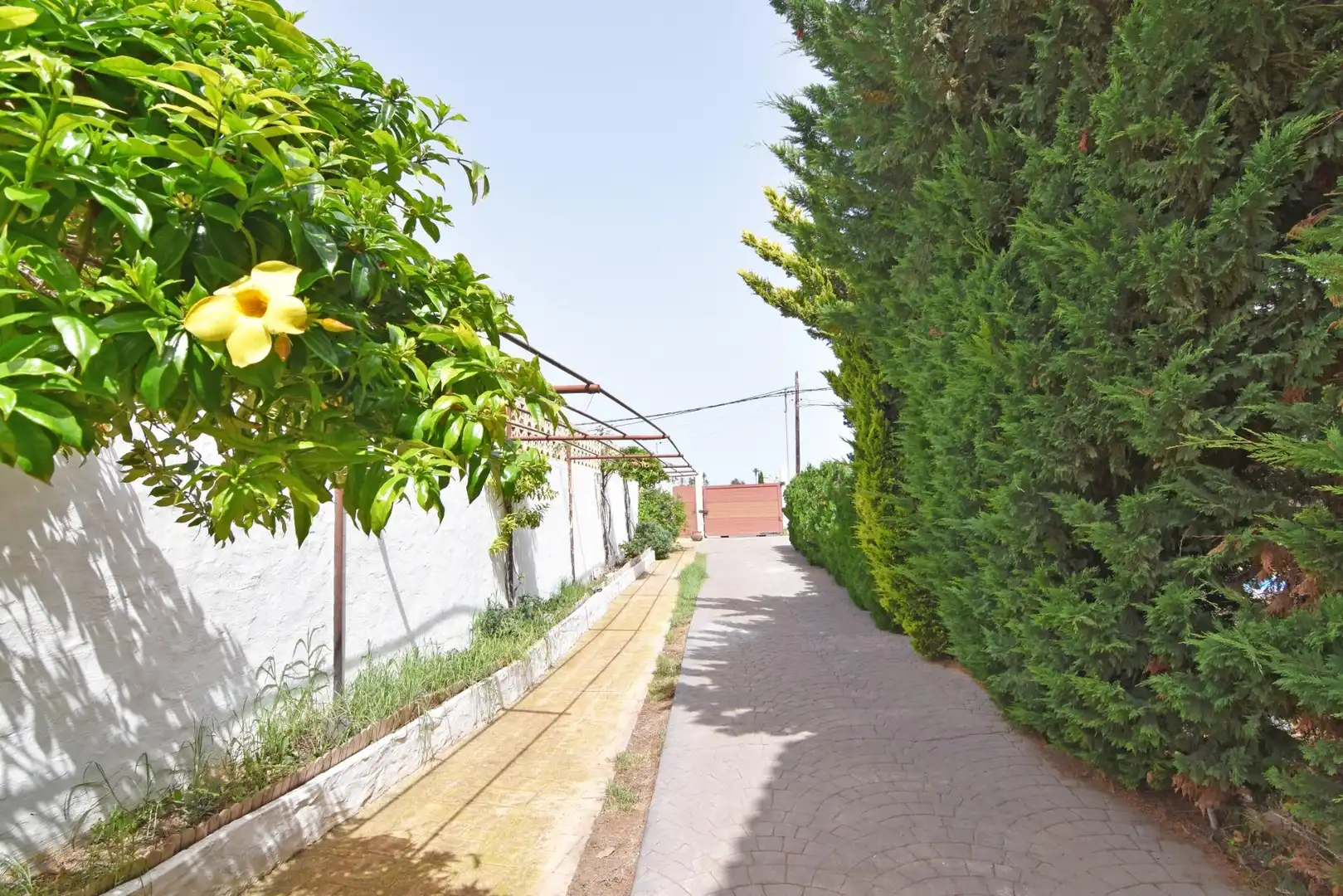 Vista exterior de Casa o chalet en venta en Firgas