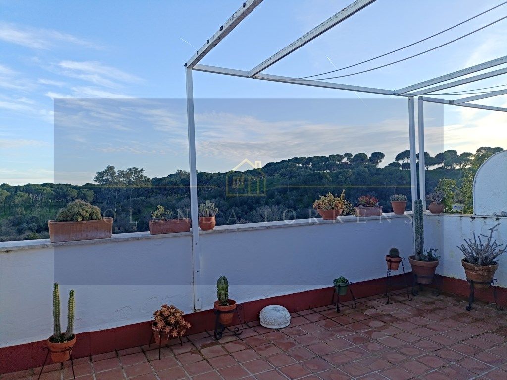 Terrace of House or chalet for sale in Alcalá de Guadaira