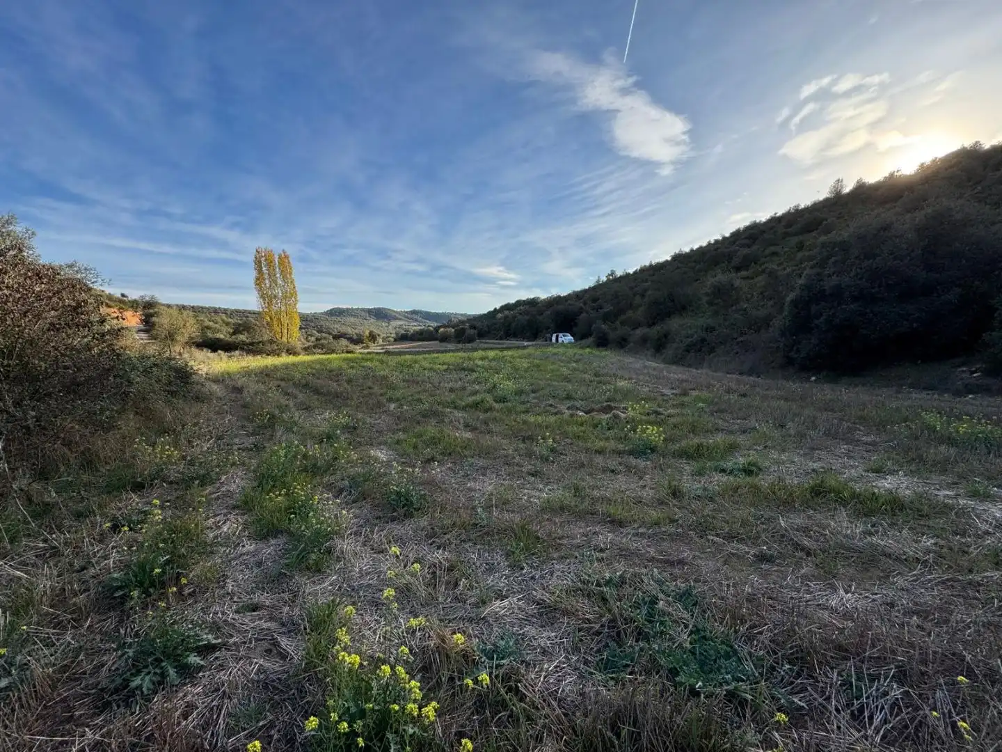 Land for sale in Peralta de Calasanz