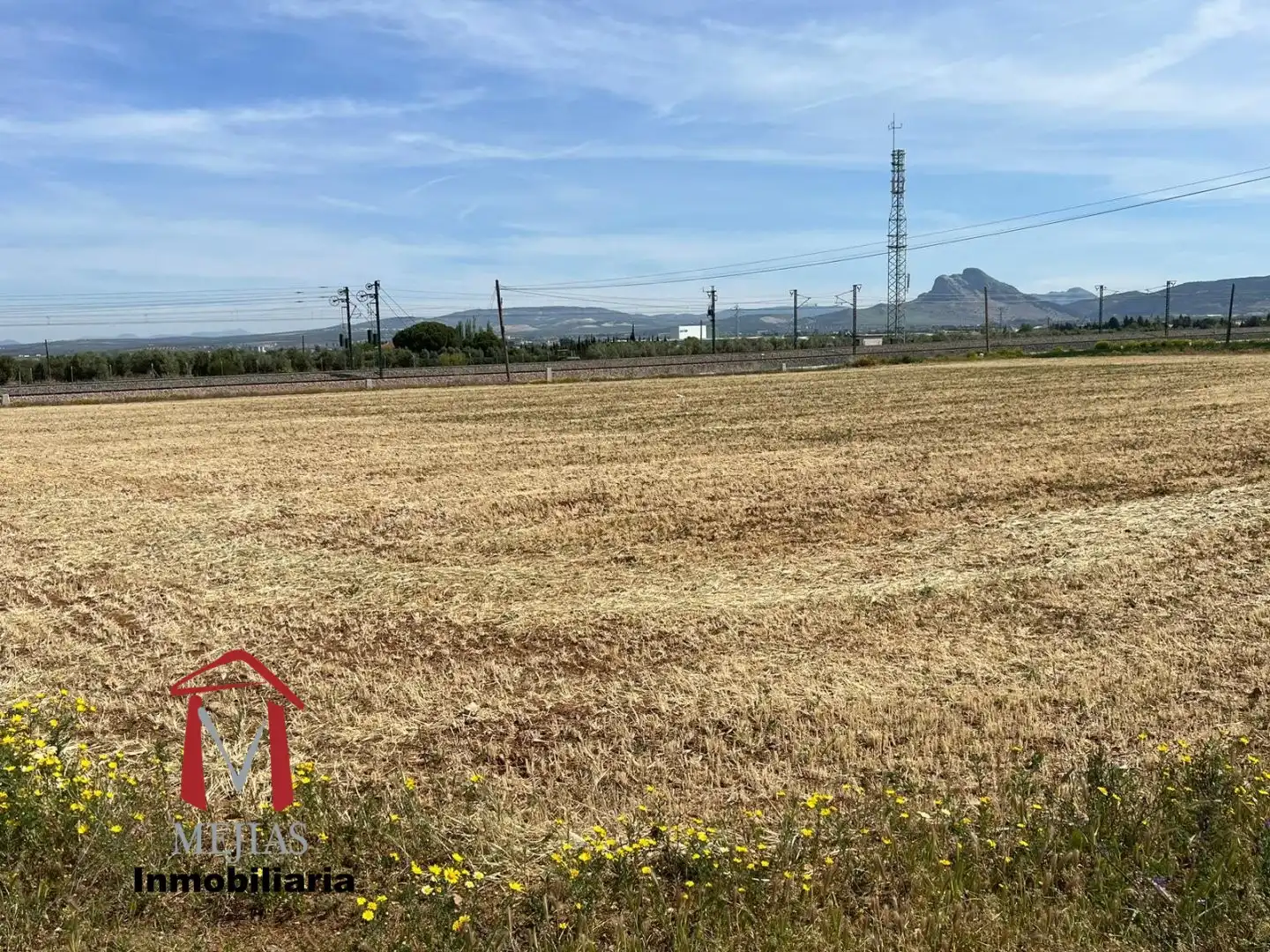 Terrenys i solars en venda a Zona de la Vega, imagen 5