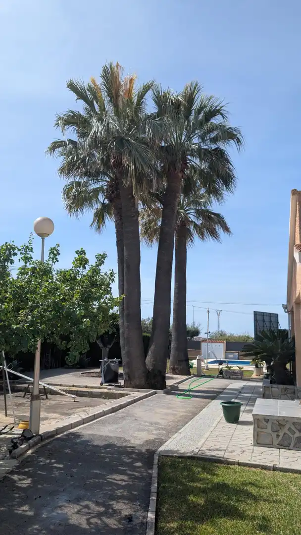 Xalet amb piscina en venda a Partida Siprerets, imagen 15