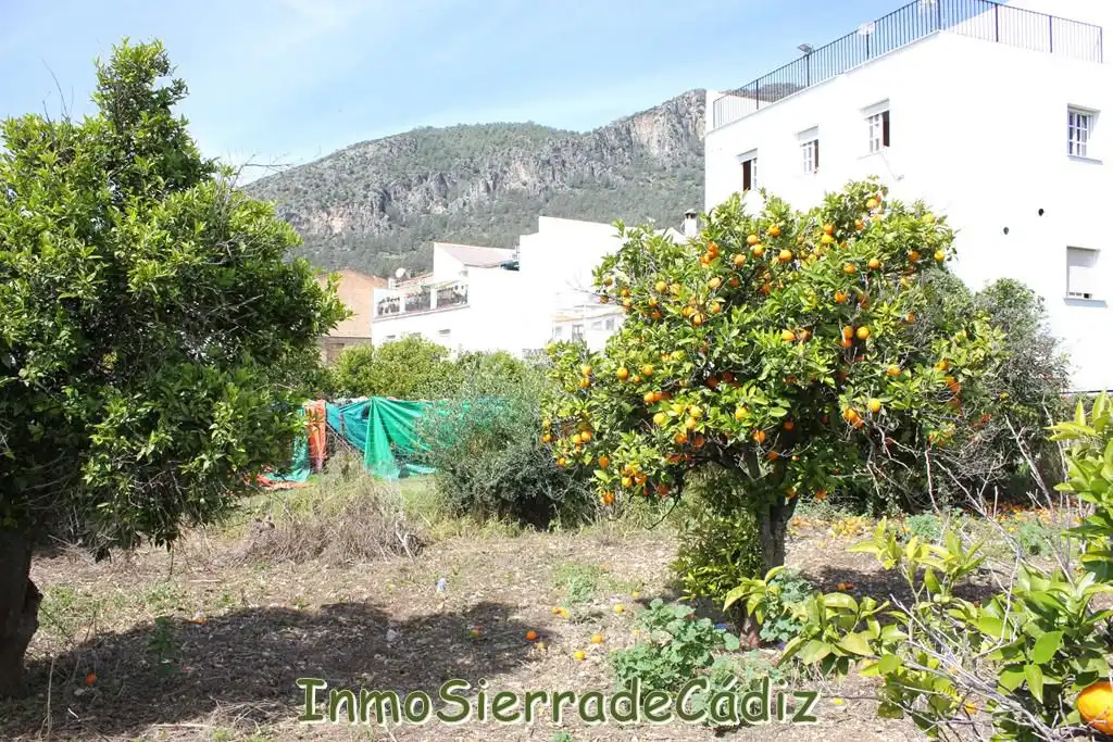 Residencial en venda a Andalucia, Torre Alháquime