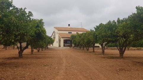 Foto 2 de Finca rústica en venda a Calle Cami de Les Planes, Roda de Berà, Tarragona