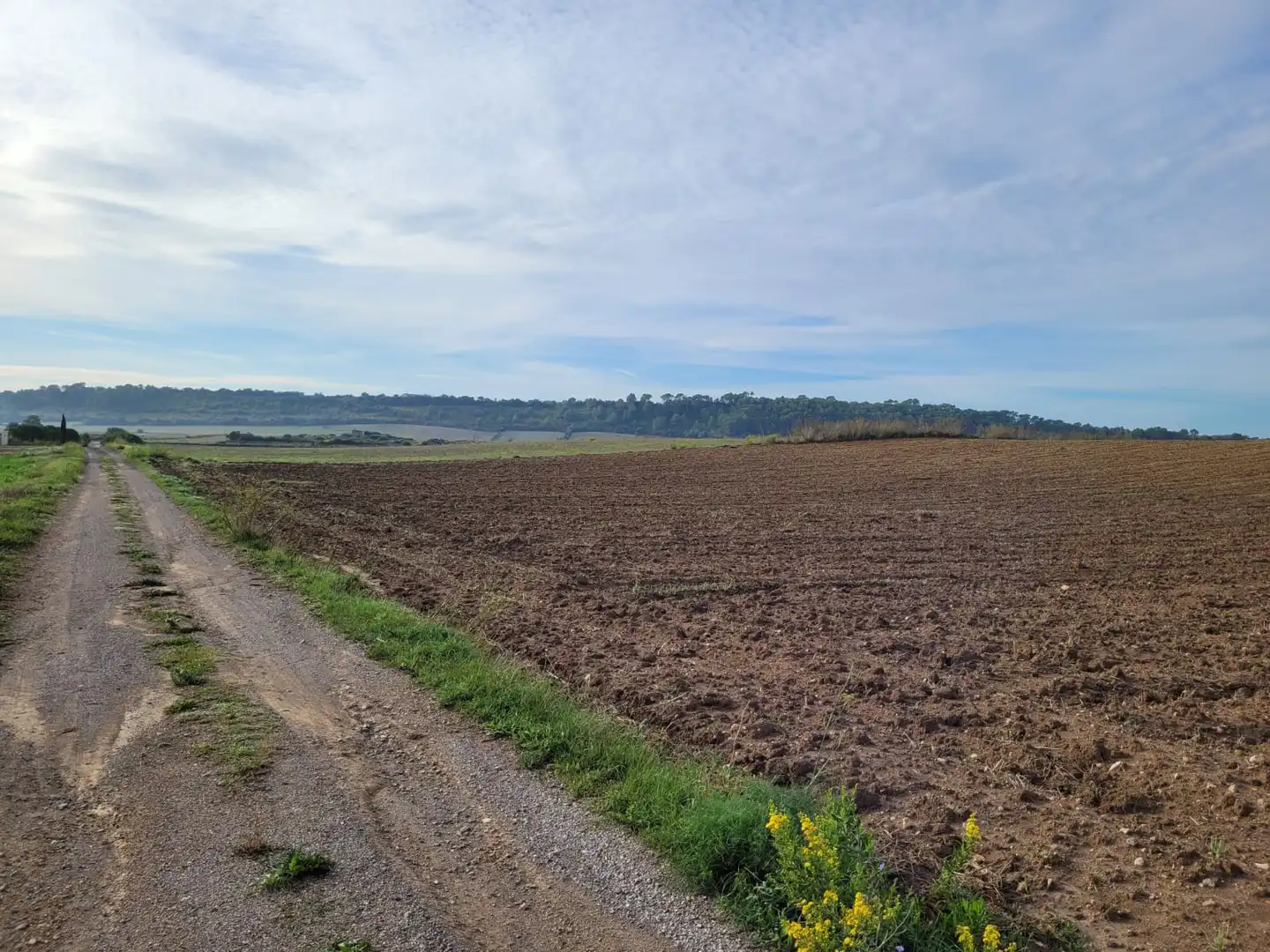Rural land for sale in Sant Llorenç des Cardassar, imagen 3
