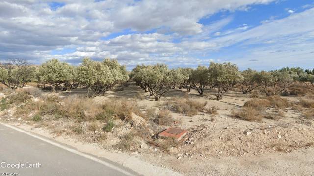 Terreno en Venta en Partida Sol del Camp, 150 en Agost
