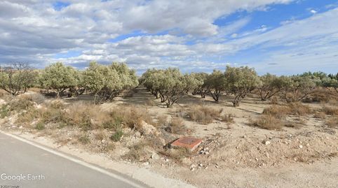 OLIVOS REGADÍO, OPCIÓN VIVIENDA DE CAMPO, PISCINA