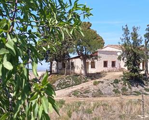 Vista exterior de Terreny en venda en Lorca