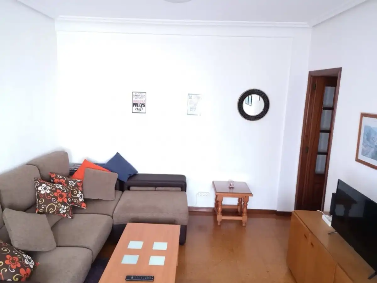 Sala d'estar de Pis de lloguer en Vigo  amb Calefacció i Moblat